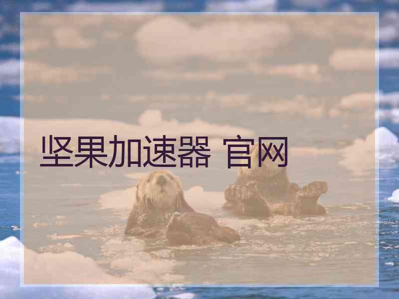 坚果加速器 官网