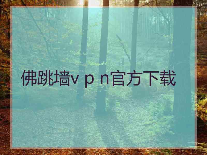 佛跳墙v p n官方下载