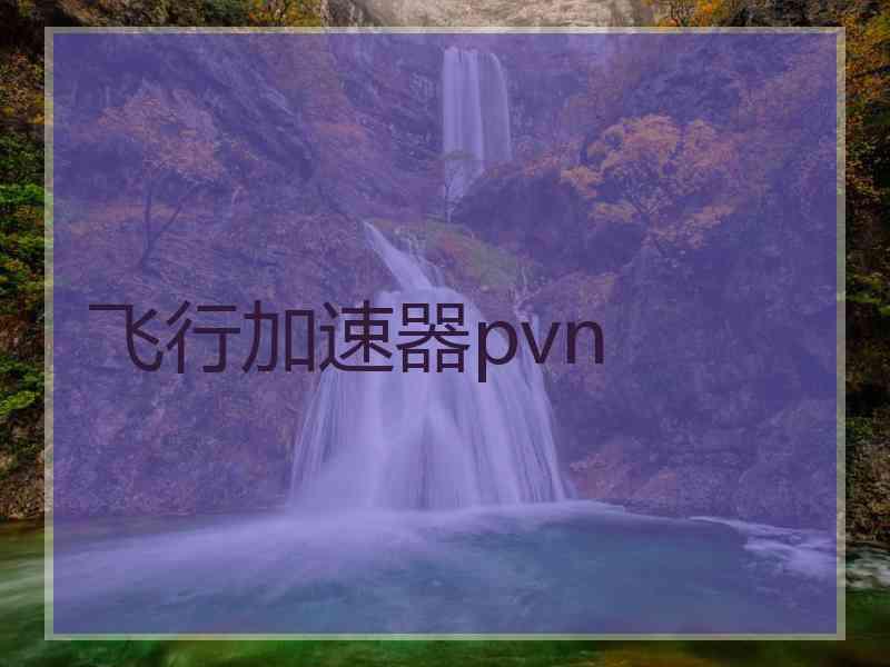 飞行加速器pvn