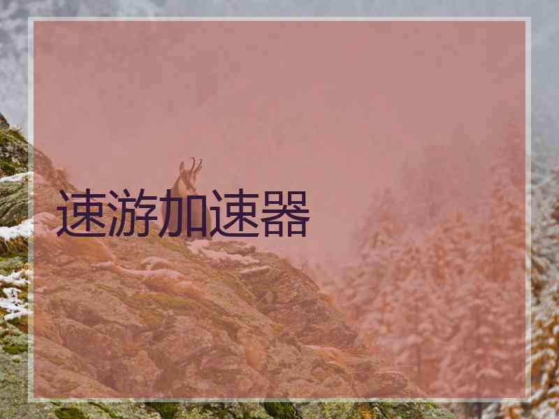 速游加速器