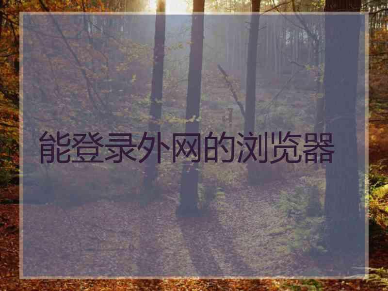 能登录外网的浏览器