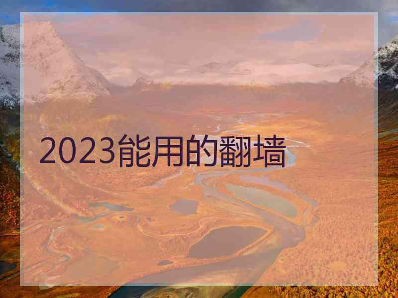 2023能用的翻墙