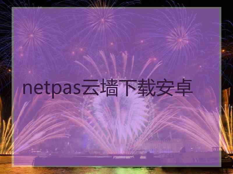 netpas云墙下载安卓