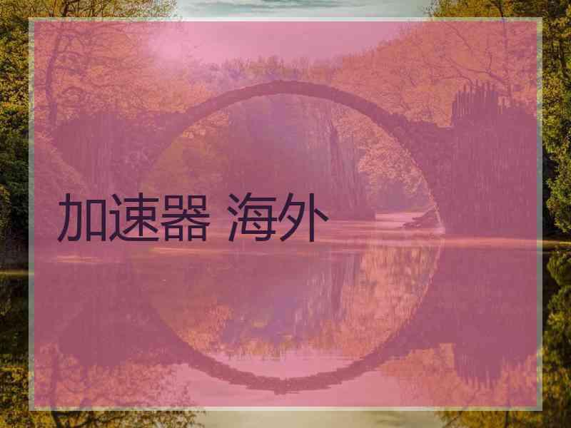 加速器 海外