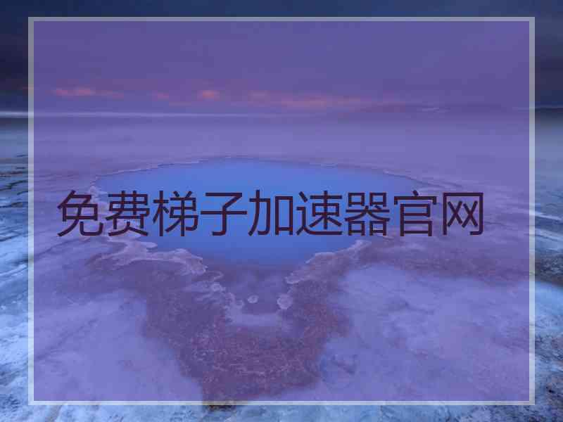 免费梯子加速器官网