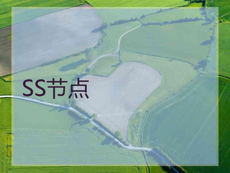 SS节点
