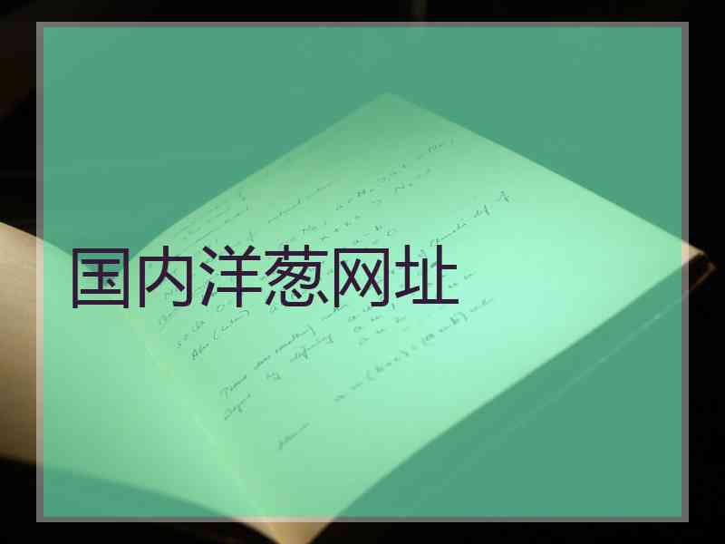 国内洋葱网址