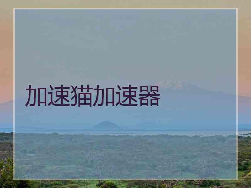 加速猫加速器