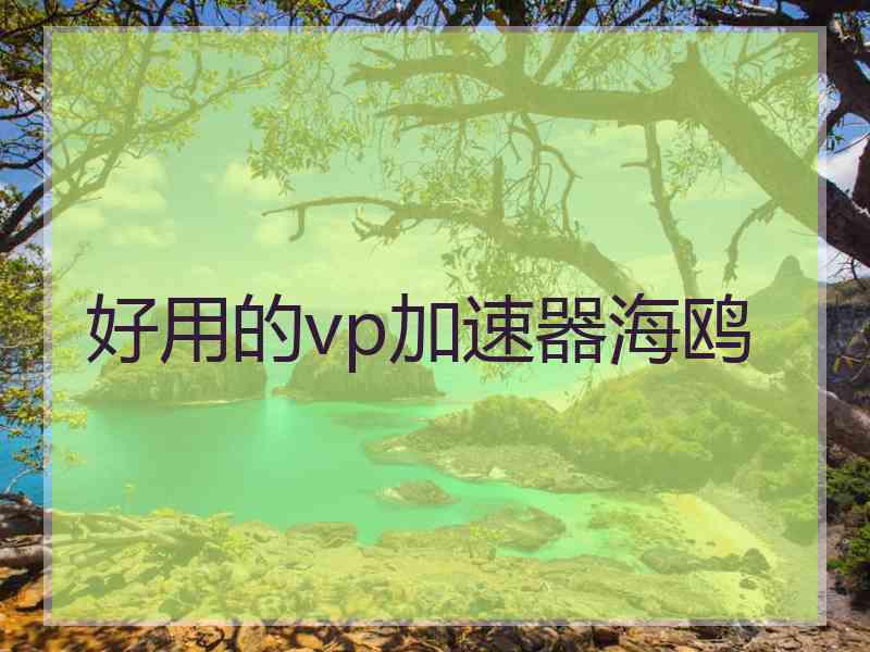 好用的vp加速器海鸥