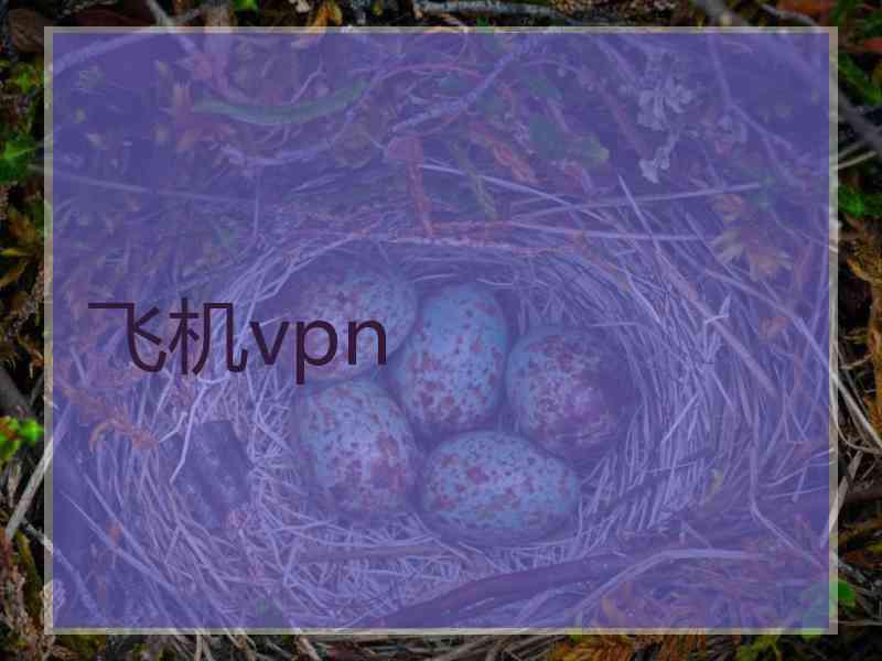 飞机vpn