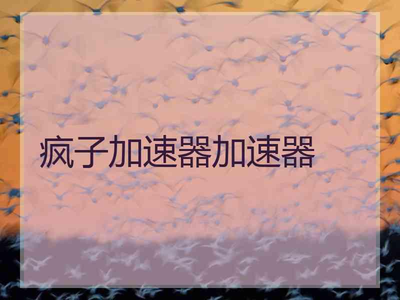 疯子加速器加速器