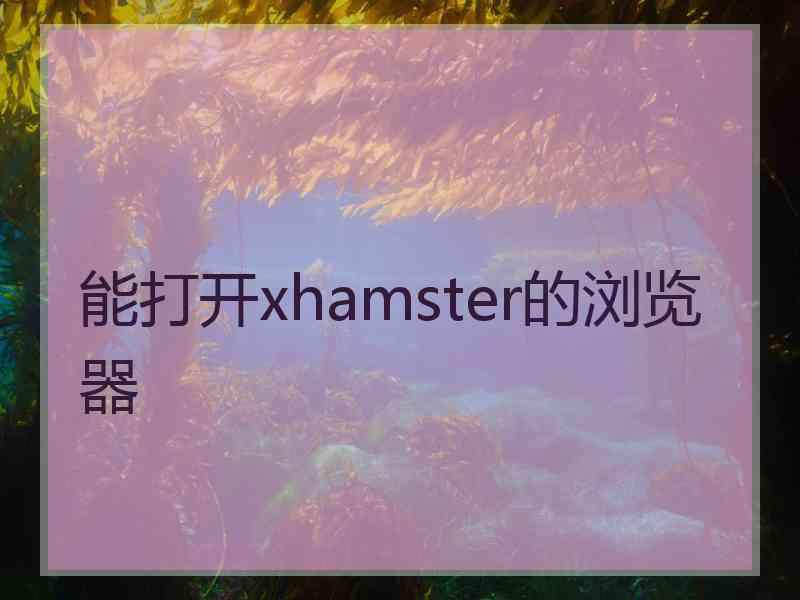 能打开xhamster的浏览器