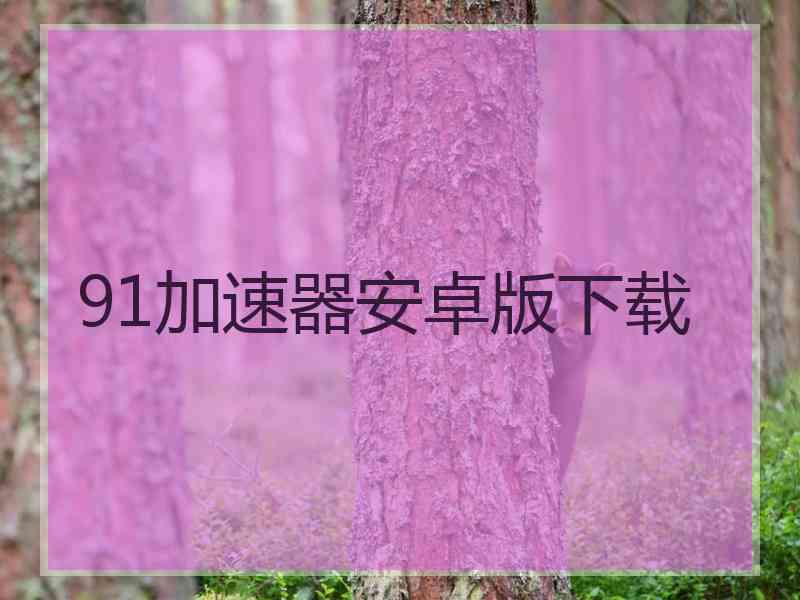 91加速器安卓版下载