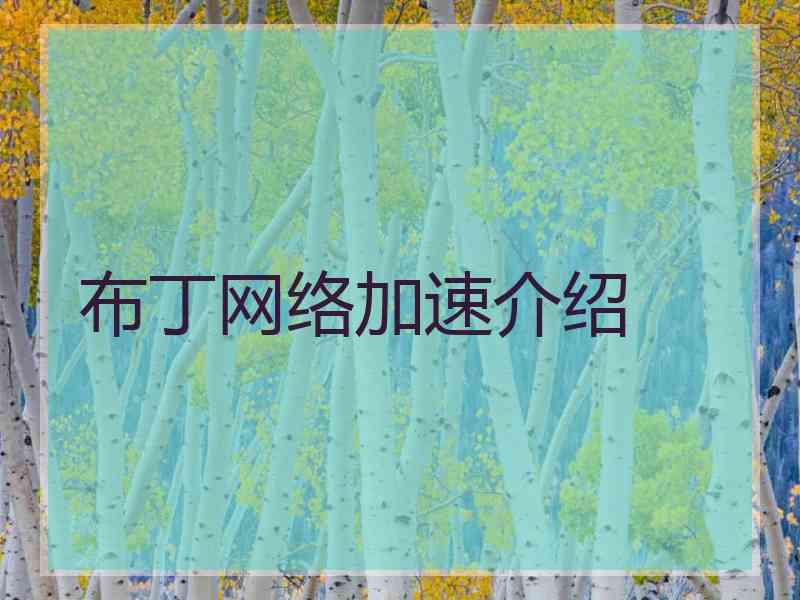 布丁网络加速介绍
