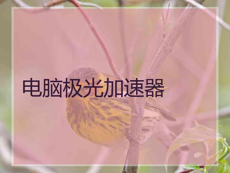 电脑极光加速器