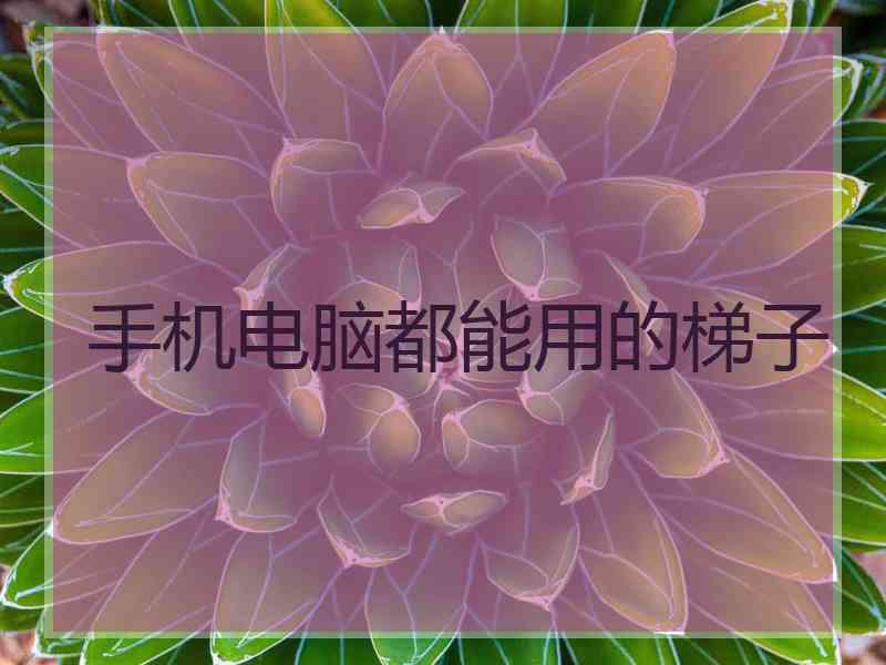 手机电脑都能用的梯子
