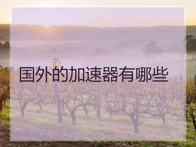 国外的加速器有哪些