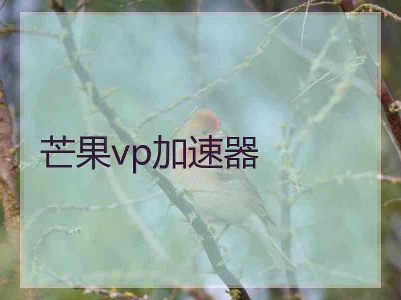 芒果vp加速器