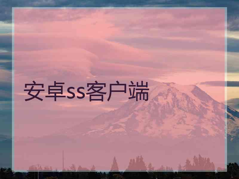 安卓ss客户端