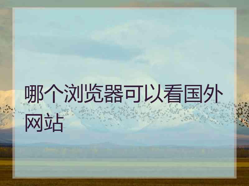 哪个浏览器可以看国外网站