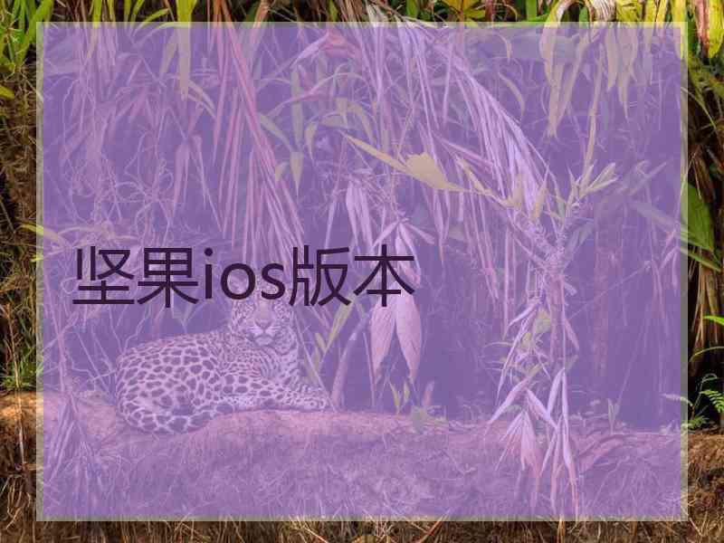 坚果ios版本