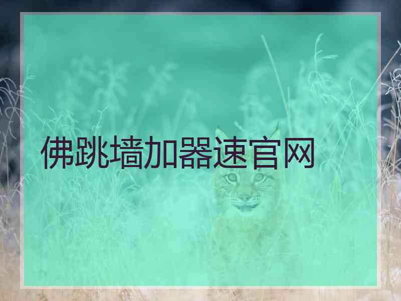 佛跳墙加器速官网