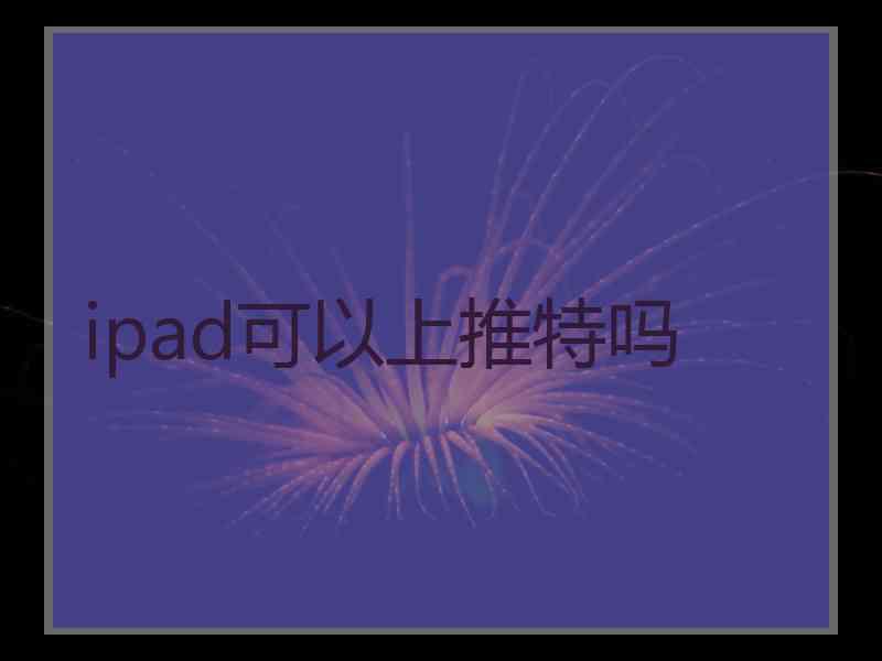 ipad可以上推特吗