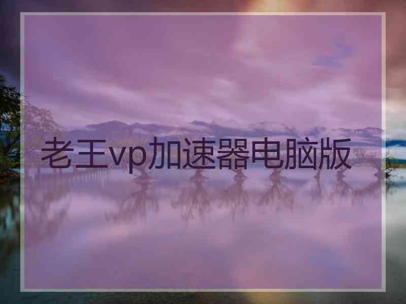 老王vp加速器电脑版