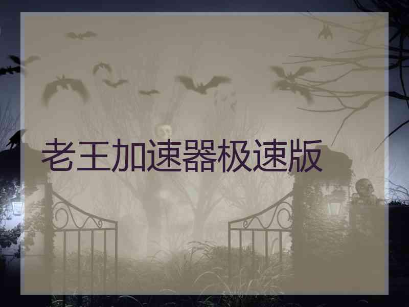 老王加速器极速版