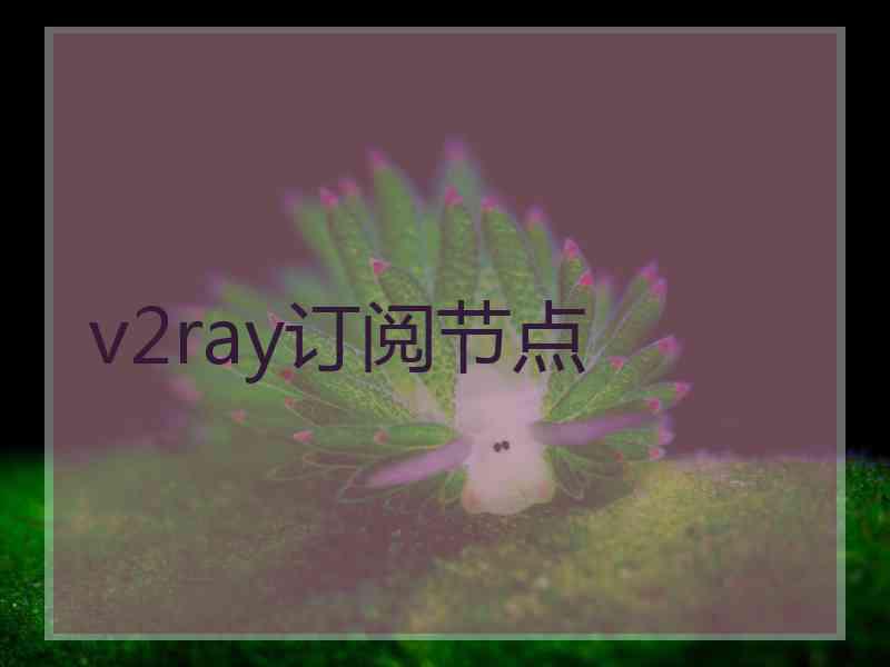 v2ray订阅节点