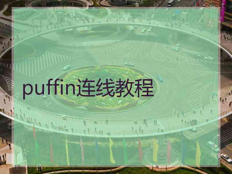 puffin连线教程