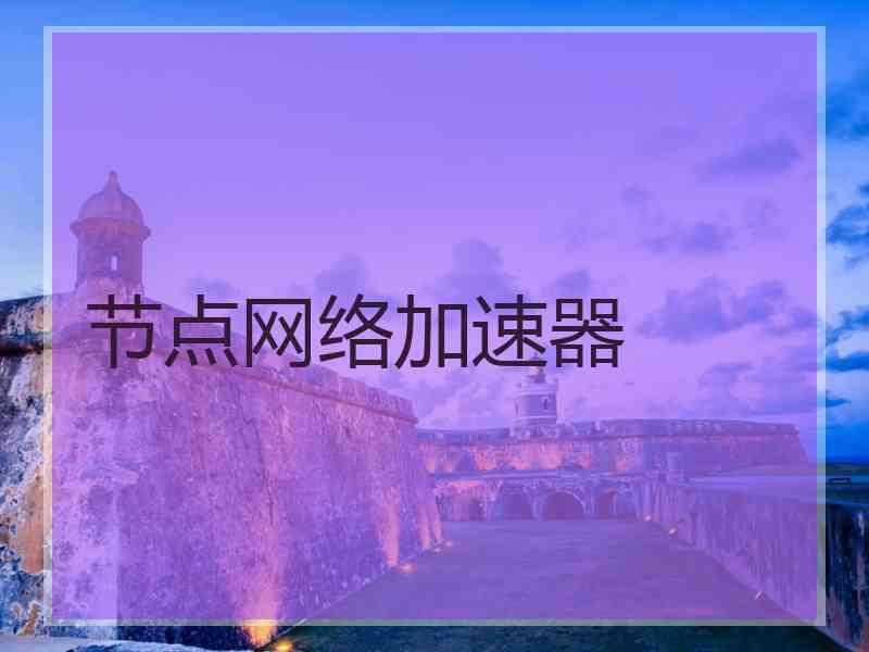 节点网络加速器