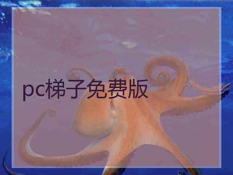 pc梯子免费版