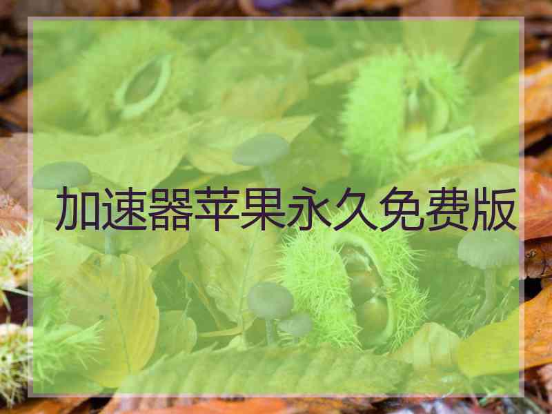 加速器苹果永久免费版