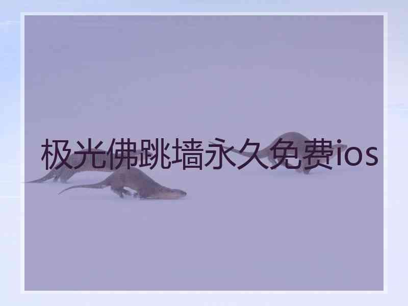 极光佛跳墙永久免费ios