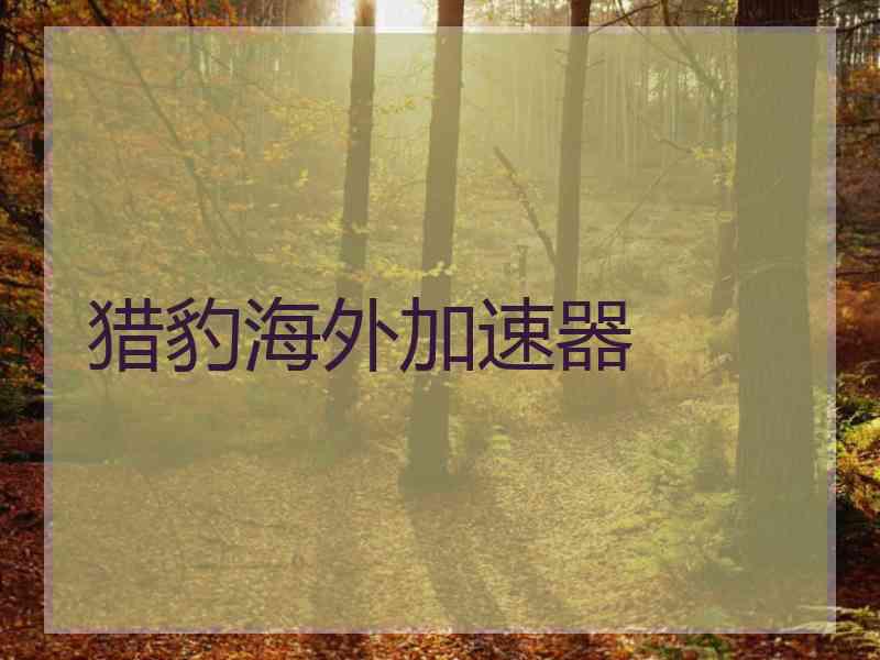 猎豹海外加速器