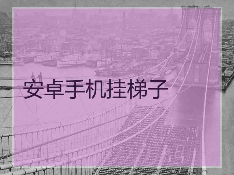 安卓手机挂梯子