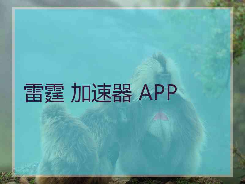 雷霆 加速器 APP