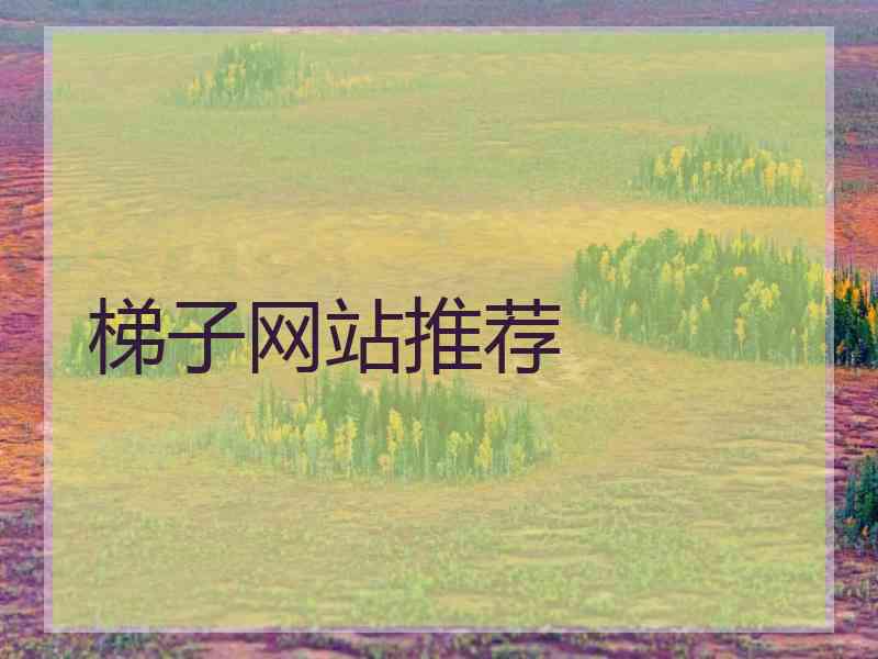 梯子网站推荐