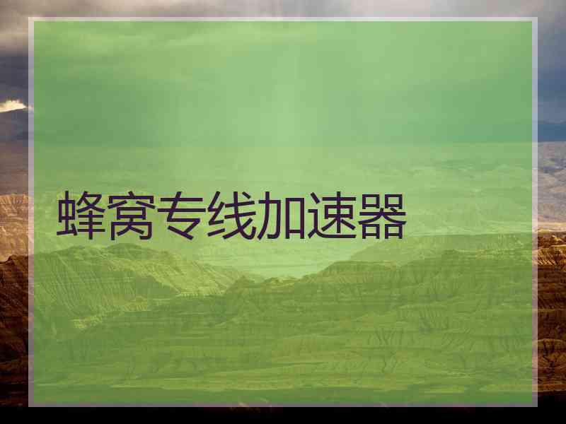 蜂窝专线加速器