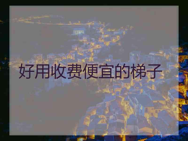 好用收费便宜的梯子