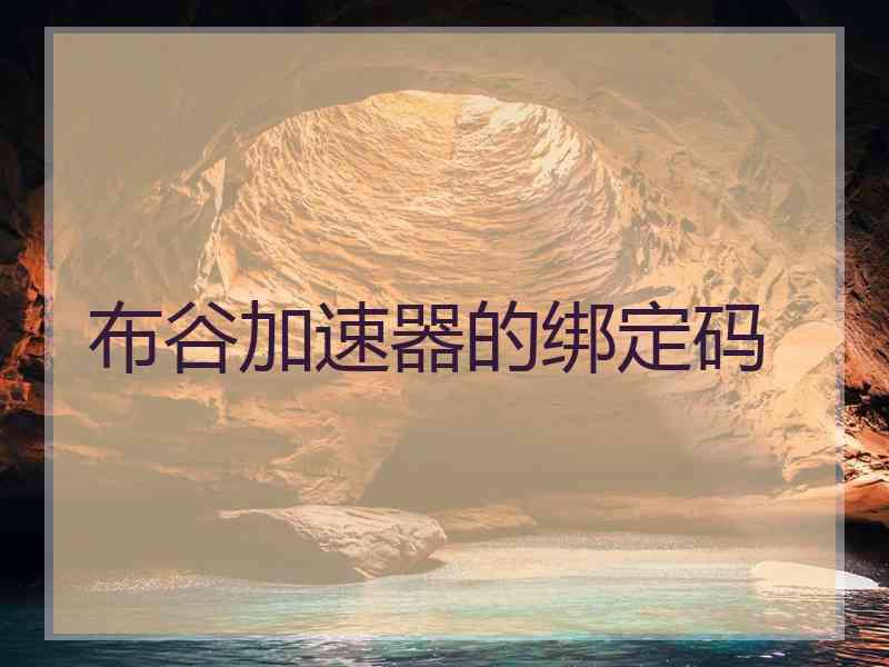布谷加速器的绑定码