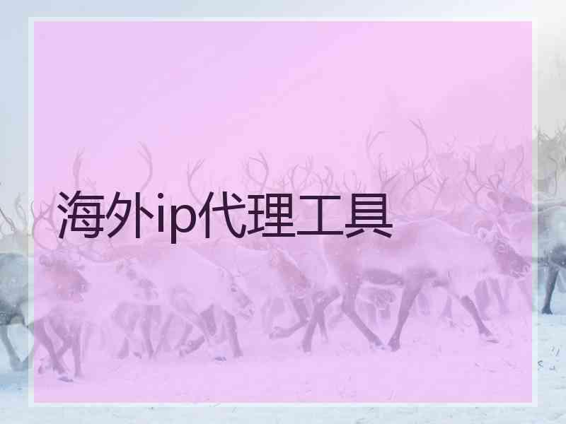 海外ip代理工具