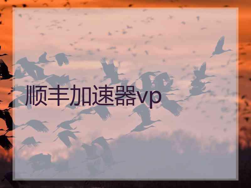 顺丰加速器vp