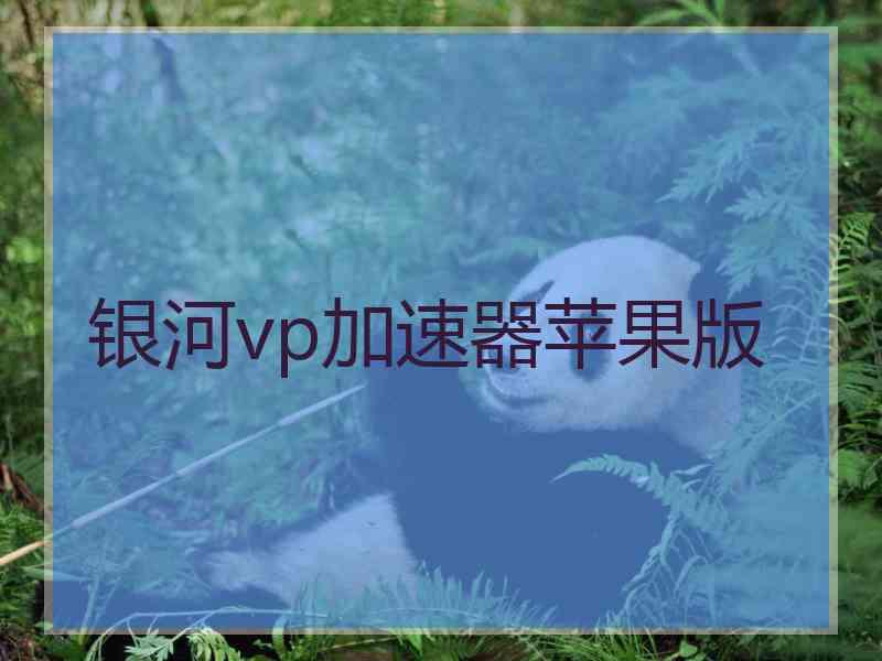 银河vp加速器苹果版