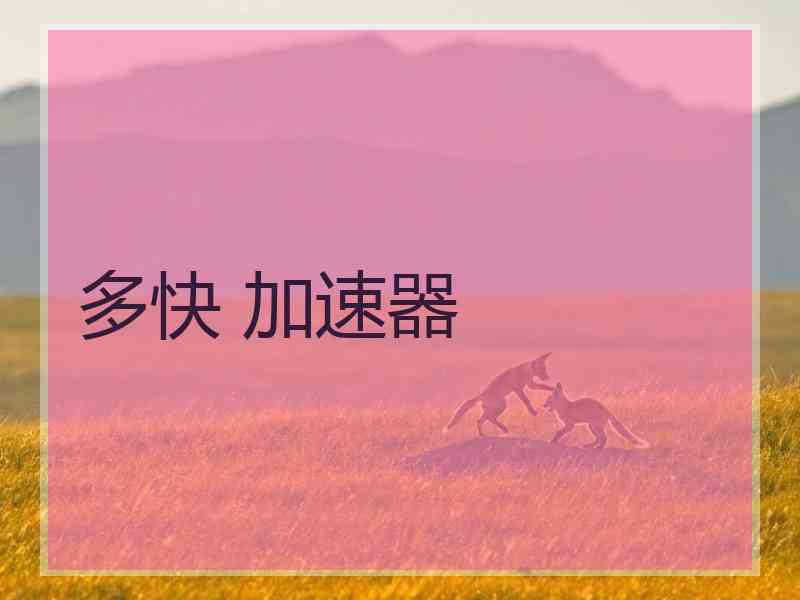 多快 加速器