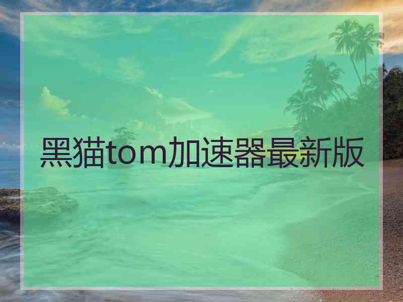 黑猫tom加速器最新版