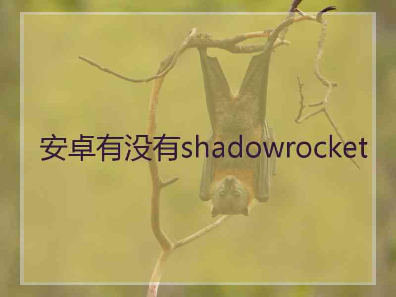 安卓有没有shadowrocket
