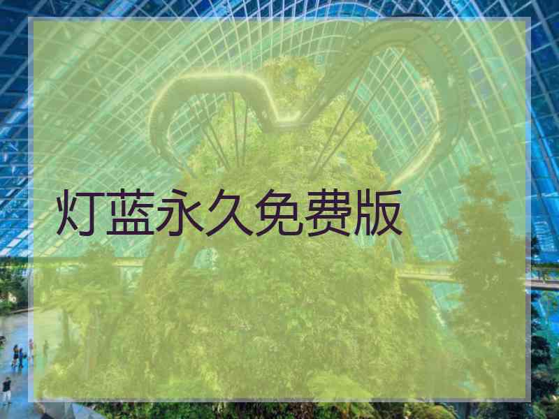 灯蓝永久免费版