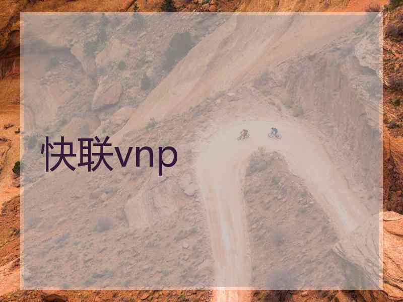 快联vnp